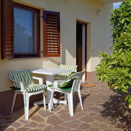 Apartments Belvedere By Rent Istria Plovanija Екстер'єр фото