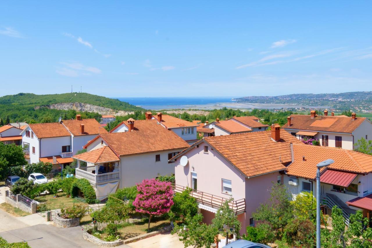 Apartments Belvedere By Rent Istria Plovanija Екстер'єр фото